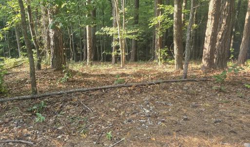 Photo #2 of Lot 15 B1 Southwind, McCormick, SC 0.3 acres