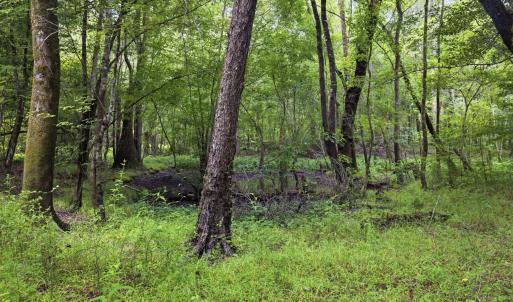 Photo #16 of 857 Mill River, Jacksonville, NC 11.1 acres