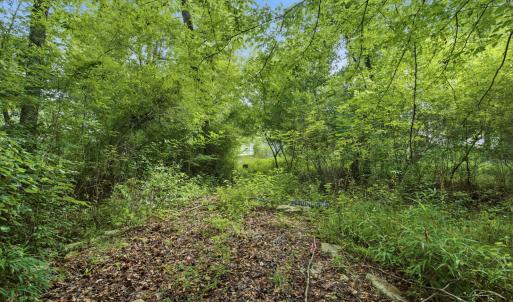 Photo #13 of 857 Mill River, Jacksonville, NC 11.1 acres