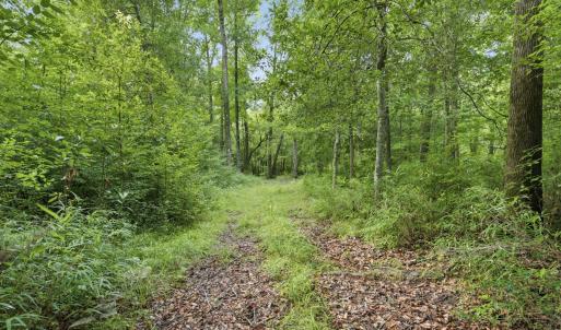 Photo #12 of 857 Mill River, Jacksonville, NC 11.1 acres