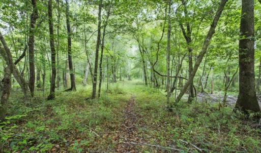 Photo #21 of 857 Mill River, Jacksonville, NC 11.1 acres