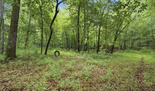 Photo #15 of 857 Mill River, Jacksonville, NC 11.1 acres