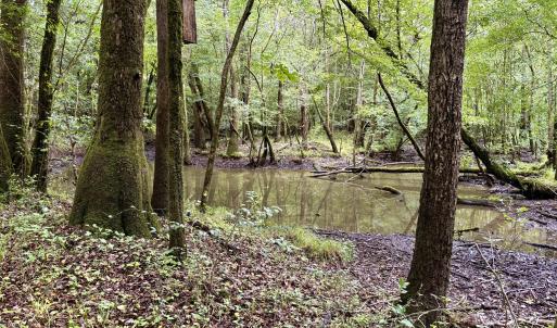 Photo #3 of 857 Mill River, Jacksonville, NC 11.1 acres