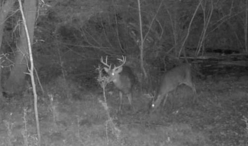 Photo #7 of 857 Mill River, Jacksonville, NC 11.1 acres