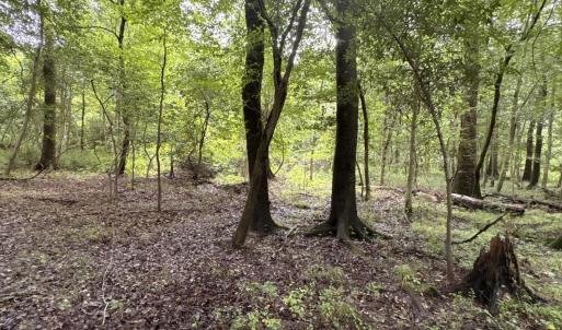 Photo #14 of 857 Mill River, Jacksonville, NC 11.1 acres