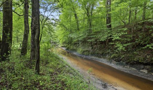 Photo #2 of 857 Mill River, Jacksonville, NC 11.1 acres