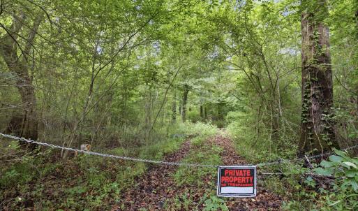 Photo #11 of 857 Mill River, Jacksonville, NC 11.1 acres