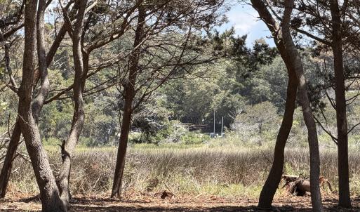 Photo #2 of Lots 9-11 Pelican, Oak Island, NC 0.8 acres