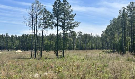 Photo #3 of 461 Lally, Aberdeen, NC 5.2 acres