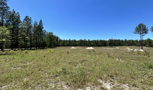 Photo #2 of 461 Lally, Aberdeen, NC 5.2 acres