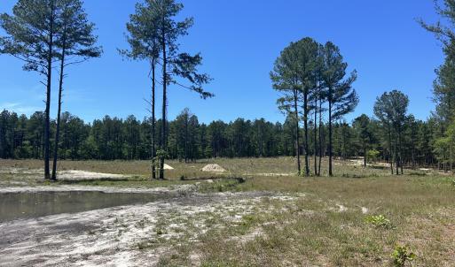 Photo #1 of 461 Lally, Aberdeen, NC 5.2 acres
