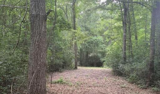 Photo #2 of 45.22 Ac Atlantic Breeze, North Myrtle Beach, SC 45.2 acres