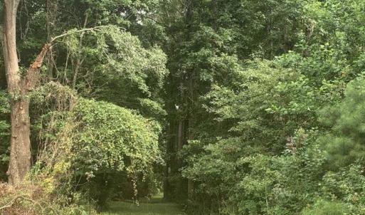 Photo #2 of 28.53 Ac Old Sanders, North Myrtle Beach, SC 28.5 acres
