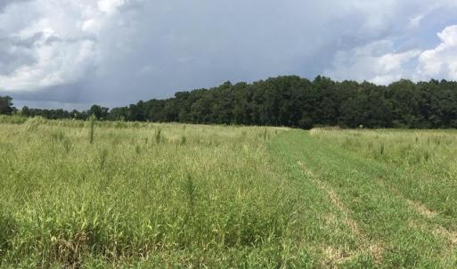 Photo #1 of 30.42 Ac Atlantic Breeze, North Myrtle Beach, SC 30.4 acres