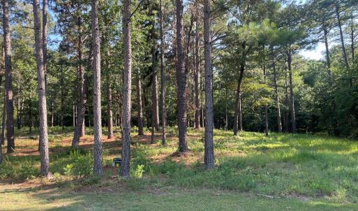 Photo #3 of 231 Meyer Farm, Pinehurst, NC 4.2 acres