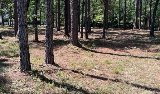 Photo #7 of 231 Meyer Farm, Pinehurst, NC 4.2 acres
