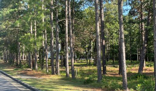 Photo #2 of 231 Meyer Farm, Pinehurst, NC 4.2 acres