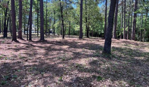 Photo #6 of 231 Meyer Farm, Pinehurst, NC 4.2 acres
