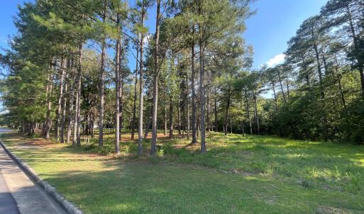 Photo #4 of 231 Meyer Farm, Pinehurst, NC 4.2 acres
