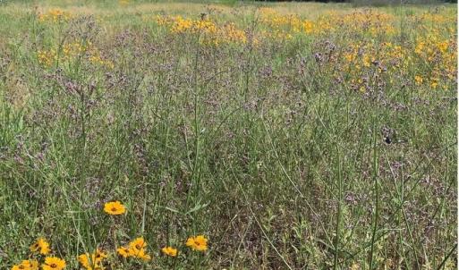 Photo #2 of 30.27 Ac Atlantic Breeze, North Myrtle Beach, SC 30.3 acres