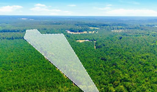 Photo #17 of 422 Benton, Bolivia, NC 18.4 acres