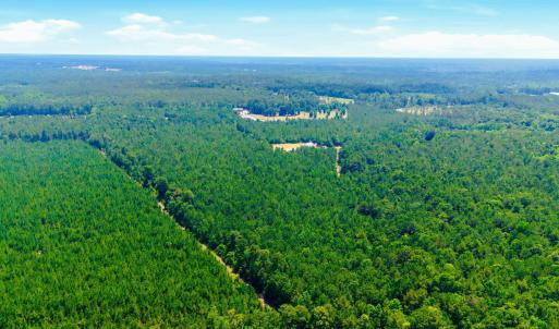 Photo #16 of 422 Benton, Bolivia, NC 18.4 acres