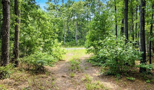 Photo #4 of 422 Benton, Bolivia, NC 18.4 acres