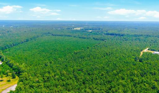 Photo #12 of 422 Benton, Bolivia, NC 18.4 acres
