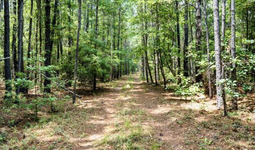 Photo #5 of 422 Benton, Bolivia, NC 18.4 acres