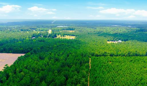 Photo #22 of 422 Benton, Bolivia, NC 18.4 acres