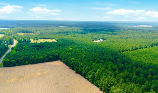 Photo #20 of 422 Benton, Bolivia, NC 18.4 acres