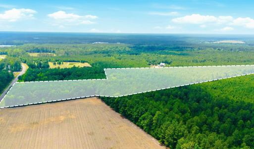 Photo #21 of 422 Benton, Bolivia, NC 18.4 acres