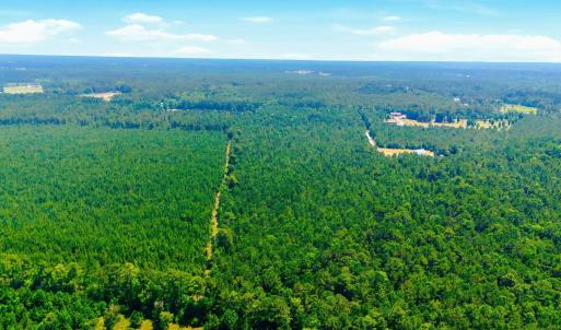 Photo #14 of 422 Benton, Bolivia, NC 18.4 acres