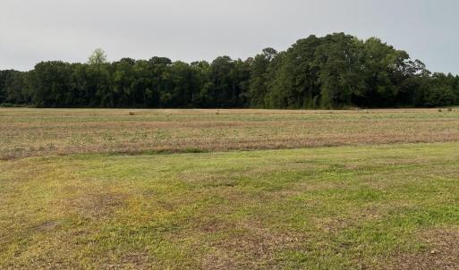 Photo #8 of 3091 Hudsons Crossroads, Greenville, NC 99.5 acres