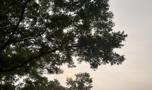 Photo #11 of 3091 Hudsons Crossroads, Greenville, NC 99.5 acres