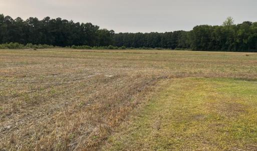 Photo #7 of 3091 Hudsons Crossroads, Greenville, NC 99.5 acres