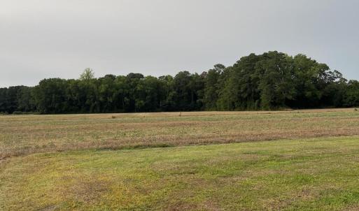 Photo #9 of 3091 Hudsons Crossroads, Greenville, NC 99.5 acres