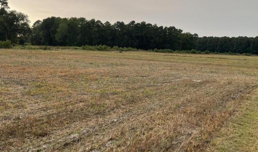 Photo #6 of 3091 Hudsons Crossroads, Greenville, NC 99.5 acres