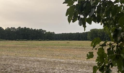 Photo #14 of 3091 Hudsons Crossroads, Greenville, NC 99.5 acres