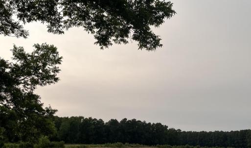 Photo #13 of 3091 Hudsons Crossroads, Greenville, NC 99.5 acres