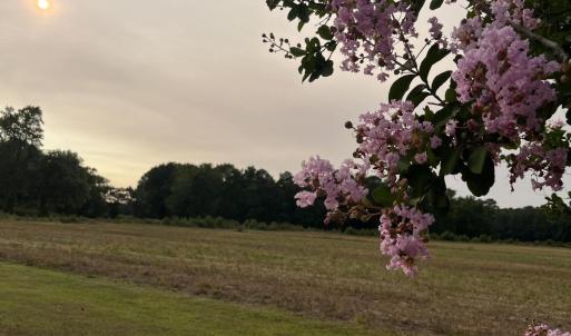 Photo #12 of 3091 Hudsons Crossroads, Greenville, NC 99.5 acres