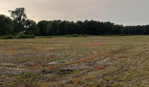 Photo #10 of 3091 Hudsons Crossroads, Greenville, NC 99.5 acres