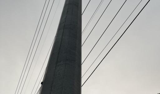 Photo #15 of 3091 Hudsons Crossroads, Greenville, NC 99.5 acres