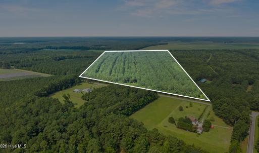 Photo #2 of Indian Hill, Willard, NC 75.7 acres