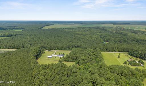 Photo #11 of Indian Hill, Willard, NC 75.7 acres