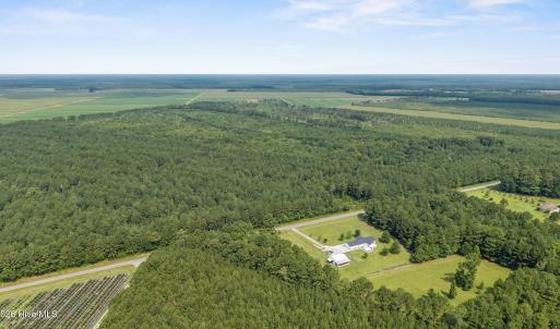 Photo #10 of Indian Hill, Willard, NC 75.7 acres