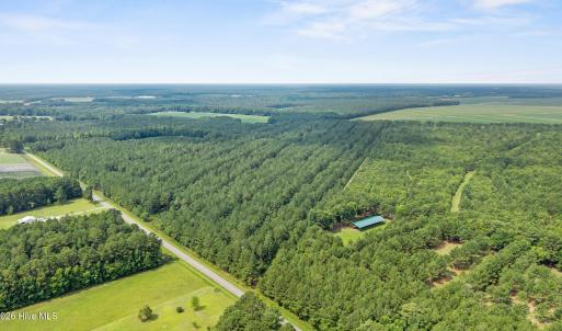 Photo #7 of Indian Hill, Willard, NC 75.7 acres