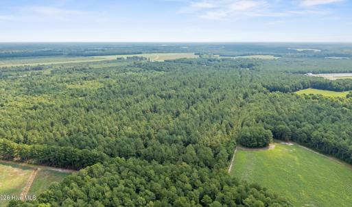 Photo #5 of Indian Hill, Willard, NC 75.7 acres