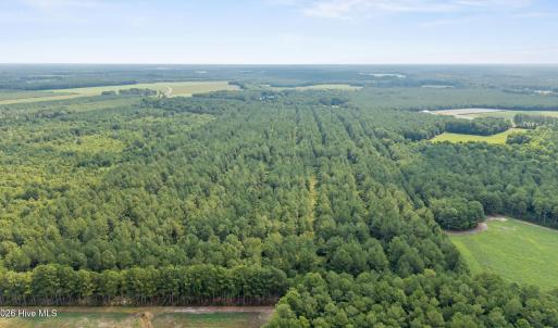 Photo #6 of Indian Hill, Willard, NC 75.7 acres