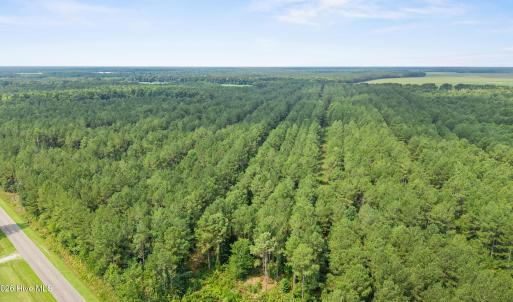 Photo #9 of Indian Hill, Willard, NC 75.7 acres